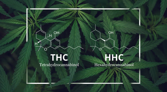 Rozdíl v chemické struktuře HHC a THC