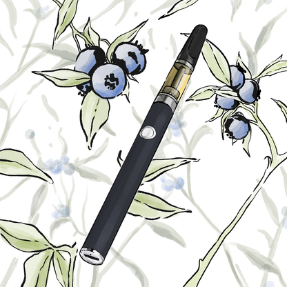 HHC Cartridge Blueberry 1ml + Vape Pen - BeBaked